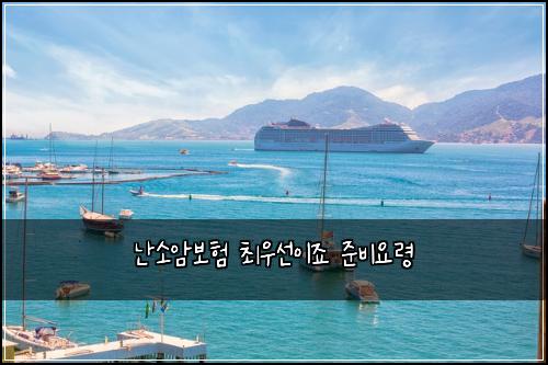 난소암보험 최우선이죠  준비요령