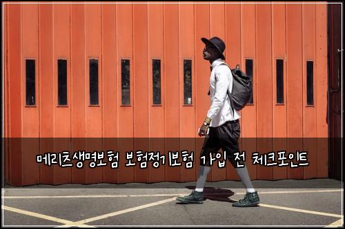 메리츠생명보험 보험정기보험 가입 전 체크포인트