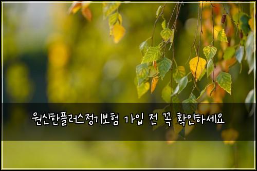 원신한플러스정기보험 가입 전 꼭 확인하세요