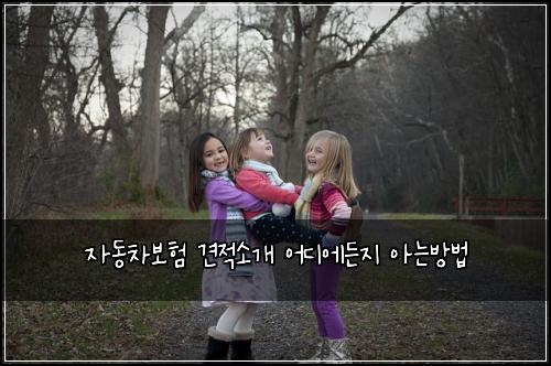 ์๋์ฐจ๋ณดํ ๊ฒฌ์ ์๊ฐ ์ด๋์๋ ์ง ์๋๋ฐฉ๋ฒ