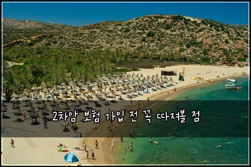 2차암 보험 가입 전 꼭 따져볼 점