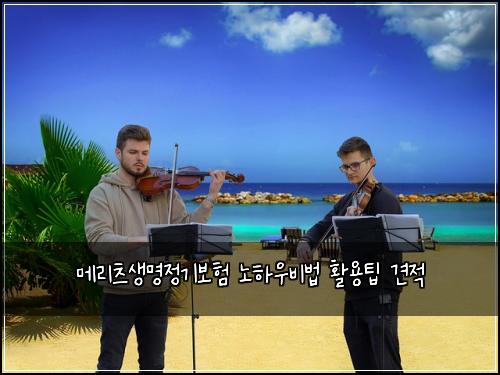 메리츠생명정기보험 노하우비법  활용팁 견적