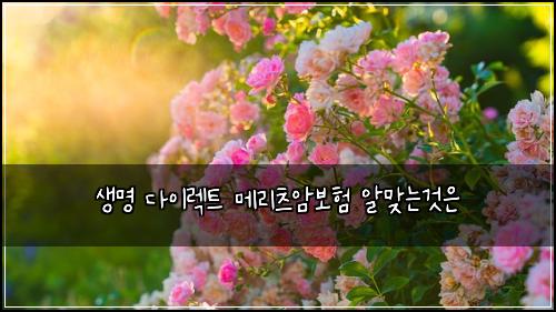 생명 다이렉트 메리츠암보험 알맞는것은 