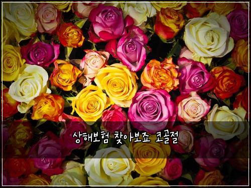 상해보험 찾아보죠  코골절