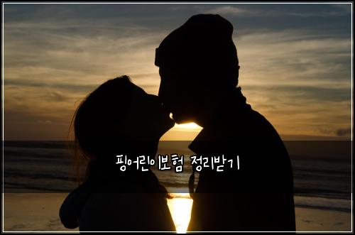 핑어린이보험 정리받기 