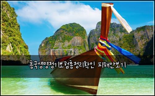 흥국생명정기보험총정리확인 피해안보기
