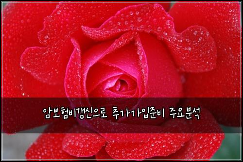 암보험비갱신으로 추가가입준비 주요분석