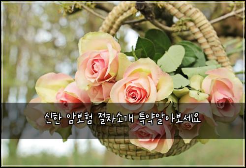 ์ ํ ์๋ณดํ ์ ์ฐจ์๊ฐ ํน์ฝ์์๋ณด์ธ์