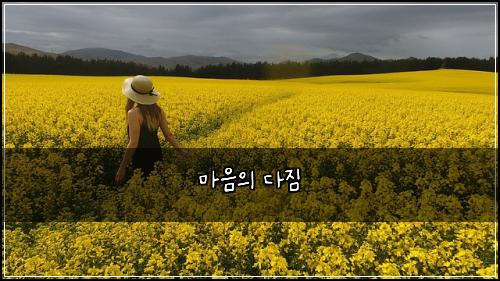 ๋ง์์ ๋ค์ง