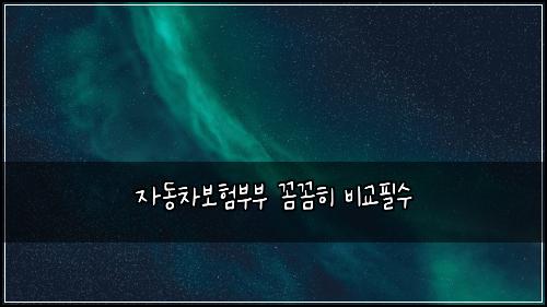 자동차보험부부 꼼꼼히 비교필수