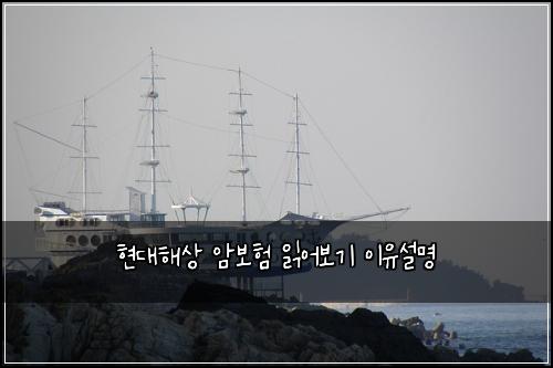 현대해상 암보험 읽어보기  이유설명