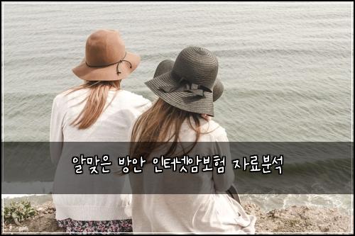 ์๋ง์ ๋ฐฉ์ ์ธํฐ๋ท์๋ณดํ ์๋ฃ๋ถ์