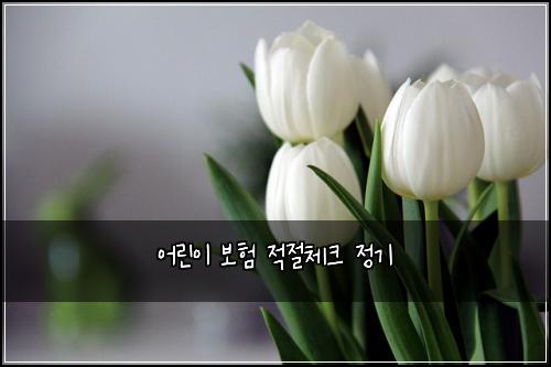 어린이 보험 적절체크  정기
