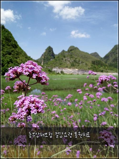 동부상해보험 절감요령  통원치료