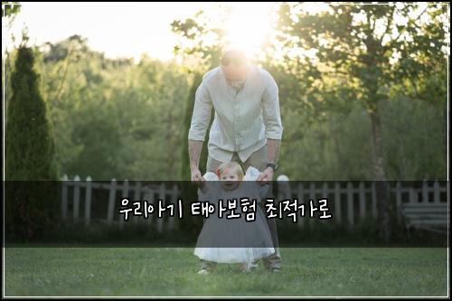 우리아기 태아보험 최적가로 