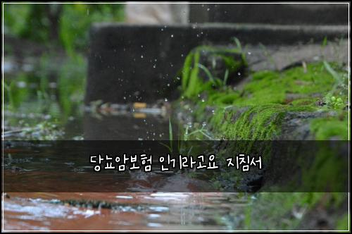 λΉλ¨μ보ν μΈκΈ°λΌκ³ μ μ§μΉ¨μ