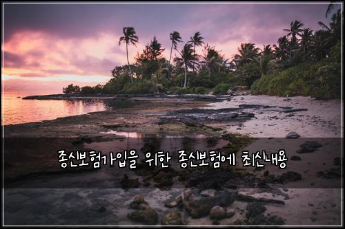 종신보험가입을 위한 종신보험에 최신내용