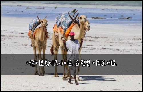 어린이보험비교사이트 요령법 이리오세요