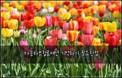 ์๋์ฐจ๋ณดํ๋ฃ๋งค๋
๊ธฐ์ตํ๊ธฐ ํ์ํ์ 