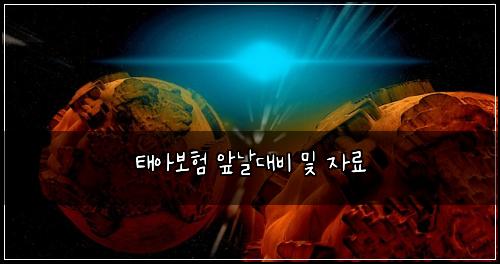 태아보험 앞날대비  및 자료