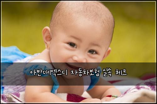 아반떼엑스디 자동차보험 실속 체크