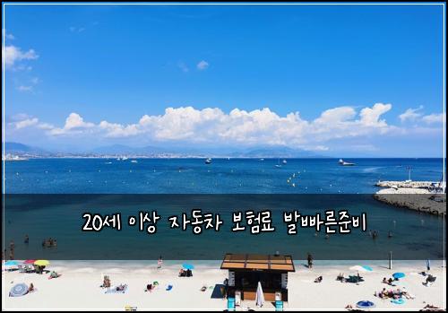 20세 이상 자동차 보험료 발빠른준비