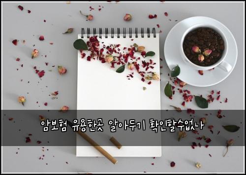 암보험 유용한곳  알아두기 확인할수없나
