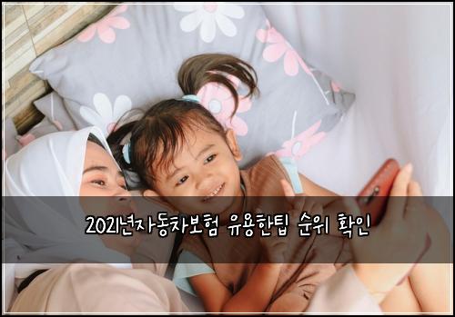 2021๋
์๋์ฐจ๋ณดํ ์ ์ฉํํ ์์ ํ์ธ