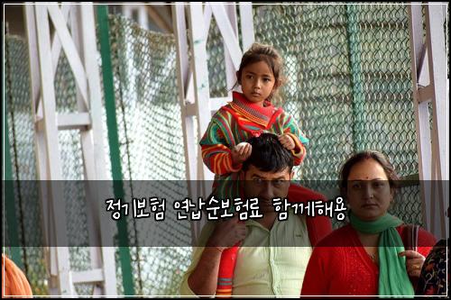 정기보험 연납순보험료 함께해용