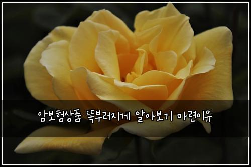 ์๋ณดํ์ํ ๋๋ถ๋ฌ์ง๊ฒ ์์๋ณด๊ธฐ ๋ง๋ จ์ด์