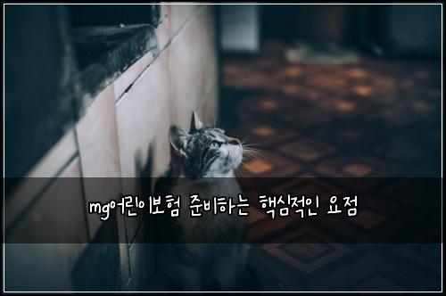 mg어린이보험 준비하는  핵심적인 요점