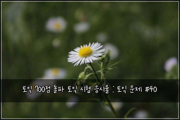 토익 700점 돌파 토익 시험 응시율 : 토익 문제 #40