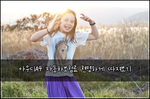 아우디A4 자동차보험료 현명하게 따져보기