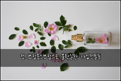 정기보험종신보험으로 불확실한 가입전필독