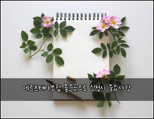 메르츠태아보험 좋은곳으로  신청시 중요사항