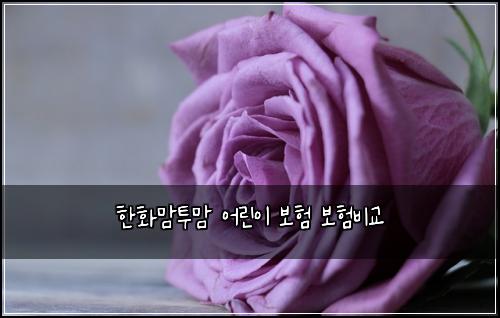 ํํ๋งํฌ๋ง ์ด๋ฆฐ์ด ๋ณดํ ๋ณดํ๋น๊ต