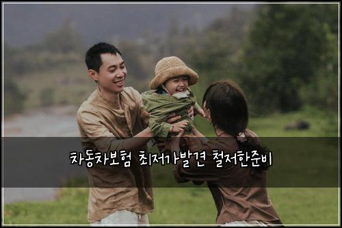 차동차보험 최저가발견  철저한준비