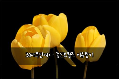 30대후반여자 종신보험료 이유찾기