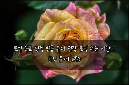 토익 목표 성적 변동 유지 전략 토익 쉬는 시간 : 토익 문제 #70