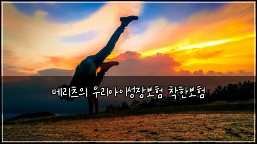 ๋ฉ๋ฆฌ์ธ ์ ์ฐ๋ฆฌ์์ด์ฑ์ฅ๋ณดํ ์ฐฉํ๋ณดํ