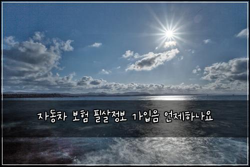 자동차 보험 필살정보  가입음 언제하나요