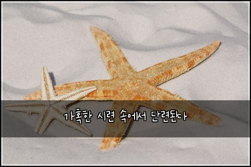 가혹한 시련 속에서 단련된다