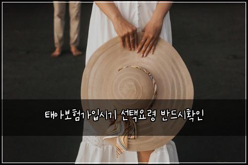 태아보험가입시기 선택요령 반드시확인
