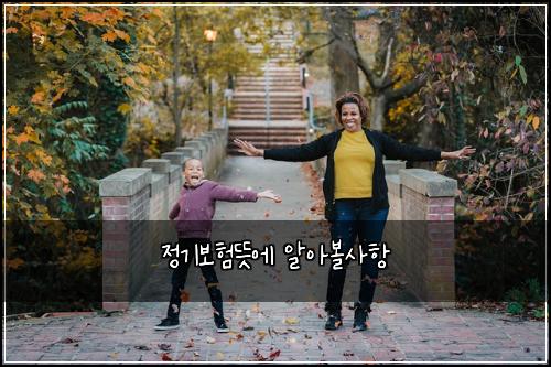 정기보험뜻에 알아볼사항