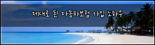 제대로 된 자동차보험 가입 노하우