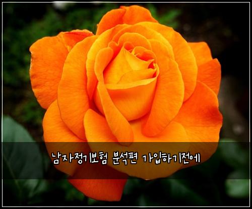 ๋จ์์ ๊ธฐ๋ณดํ ๋ถ์ํธ ๊ฐ์
ํ๊ธฐ์ ์
