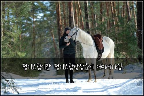 정기보험이란 정기보험항상준비 어디서가입