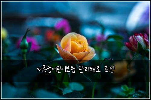 ์ ์ถ์ฑ์ด๋ฆฐ์ด๋ณดํ ๊ด๋ฆฌํด์ ์ต์