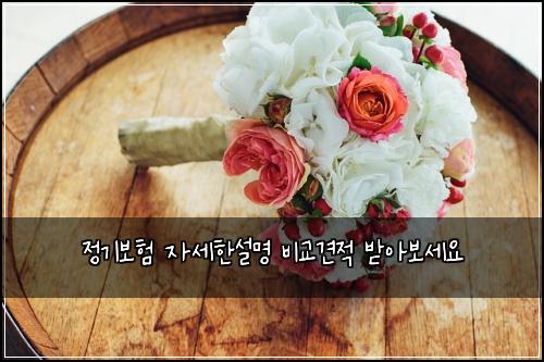 ์ ๊ธฐ๋ณดํ ์์ธํ์ค๋ช
๋น๊ต๊ฒฌ์ ๋ฐ์๋ณด์ธ์
