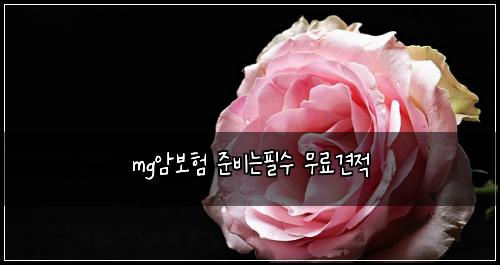 mg암보험 준비는필수  무료견적